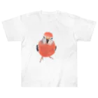 アキクサインコとウロコインコのアキクサインコ Heavyweight T-Shirt