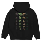 kg_shopの[☆両面] カメレオンだ【視力検査表パロディ】 Hoodie:back