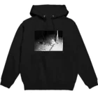 tez_tzkのトレイルカメラに写ったアライグマ Hoodie