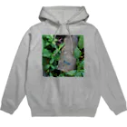 ミクロのルリボシカミキリくん Hoodie