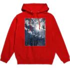 空屋　sorayakusakaの202104081252000　冬の木立 Hoodie