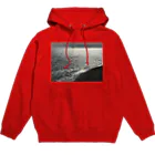 空屋　sorayakusakaの202004241513000　銀の海岸線 Hoodie