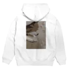 カイトのこてつくんジップパーカー Hoodie:back