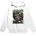 ミクロの雨の中の多肉植物 Hoodie