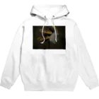 Ars Antiquaの前面プリント　Meditation（瞑想） Hoodie