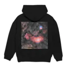 S204_Nanaの干潟星雲 Hoodie:back