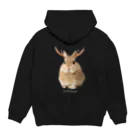 Jackalope Houseの【背面】UMA Hoodie:back