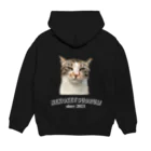 猫ケツドラマーのトオルのケツドラム猫のみなちゃん⑲ Hoodie:back