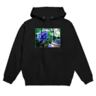 Un-Obliviateの華にブルー Hoodie