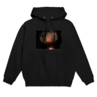 totemo_utukushiの「とても美しい」花火 Hoodie