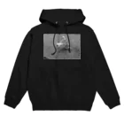 Avyssoの青姦（モノver） Hoodie