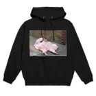 doskoipaisenの注意喚起 Hoodie