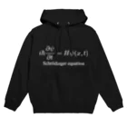 KaitaroのSchrödinger equation パーカー