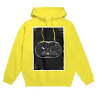 健康診断の俺の輪切りの俺 Hoodie