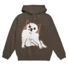 カレーゴハンナー  CURRYGOHANNERのココア Hoodie