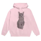 Coshi-Mild-Wildのロシアンブルーだにゃん😻 Hoodie