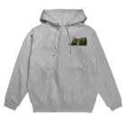 あんなちゅらるのピコくんゴロン Hoodie