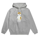 ヘロシナキャメラ売り場のちんころ Hoodie