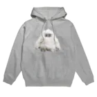 せこなおのBABY YETI　ぬいぐるみプリント Hoodie