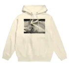 矢野・の堕ちる光 ( フーディー ) Hoodie