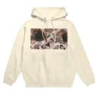 Lucienの猫の眼に映る宝石 Hoodie