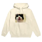 モコネコSHOPのI love cats ③ Hoodie