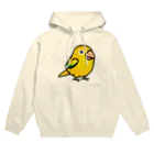 Cody the LovebirdのChubby Bird ニョオウインコ Hoodie