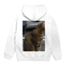 CyanotypeDesignsの猫背 Hoodie:back