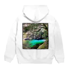 aoのEMERALD Hoodie:back