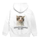 猫ケツドラマーのトオルのケツドラム猫みなちゃん Hoodie:back