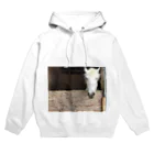 カエルの馬だよーん Hoodie