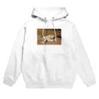 75の暑さにやられ動物1 Hoodie