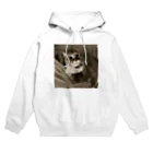 Kitty-Kitty(キティキティ)のどんぐりおめめの福ちゃん Hoodie