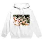 しゃしんのヴィンテージピンクの薔薇 Hoodie