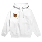 ノラミャオのめけ Hoodie