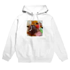 あゆのしおやきの白玉あんみつ Hoodie