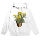 植物の絵師「洋子」の店の鉢植えの菊 Hoodie