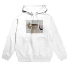 gaga_the_catのねむいガガ Hoodie