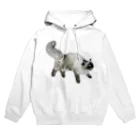 おだいのヴァルキリー Hoodie