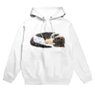 なはるんの丸まる猫 Hoodie