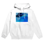 アヤメのreturn trip Hoodie