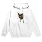 EYE CANDYの愛犬注意 Hoodie