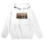 stazione_cleのプラハ城 Hoodie