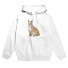 とりれんこの【寄付】カラカル Hoodie