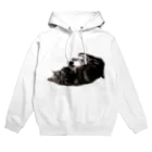 アメショーのひめちゃんのアメショーのひめちゃん⑥ Hoodie