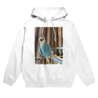 ソラショップのソラ君 Hoodie