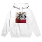 ねこノートのあごのせ寝 Hoodie