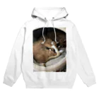 ノラ猫のウチのノラネコ兄弟 Hoodie