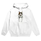 Diamondの猫のダイヤ Hoodie