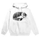 深夜の猫屋さんのネムリネコ Hoodie